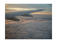 Der brandneue Bericht